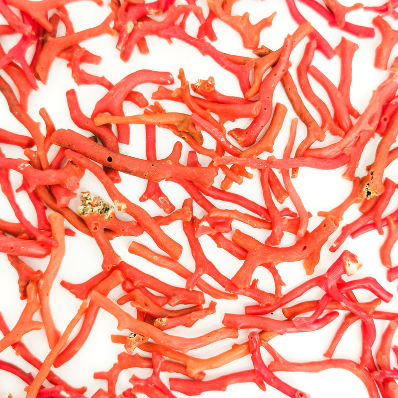 Red Coral - Mineral