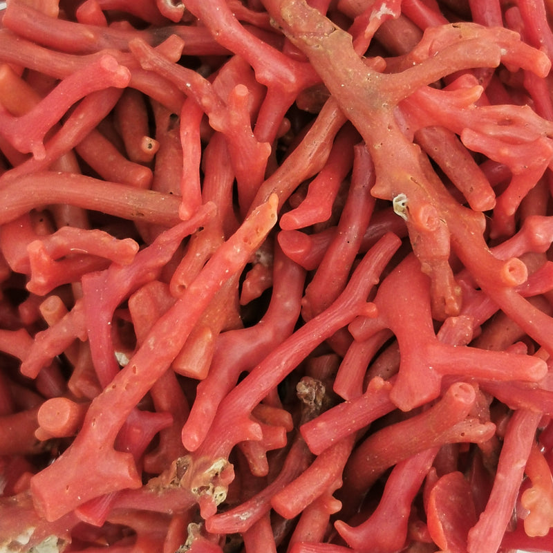 Red Coral - Mineral