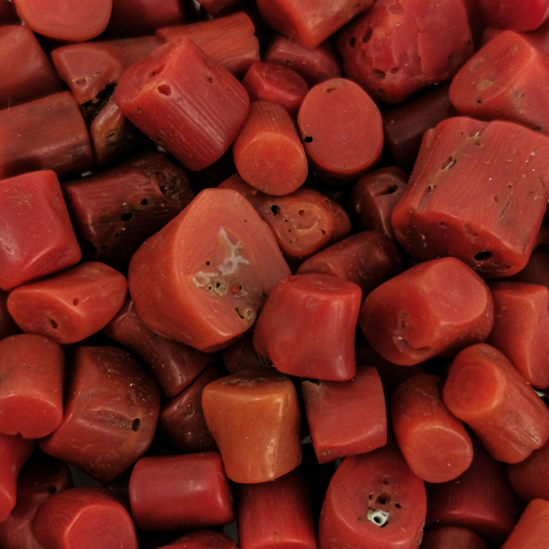 紅珊瑚莖-礦物