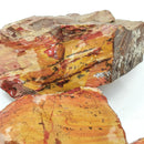 Red Falcon Jasper - Rough
