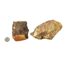 Red Falcon Jasper - Rough