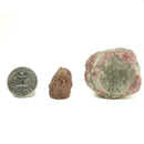 Red Horn Coral - Rough Fossil