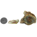 Royal Imperial Jasper Nodule - Rough