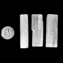 亚硒酸盐 - 迷你原木