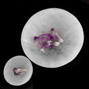 Selenite Round - Bowl