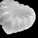 亚硒酸盐缺口心 - 盘子