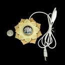 亚硒酸盐灯 - 花卉 - LED 底座