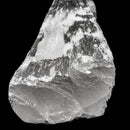 Selenite Log - Mineral