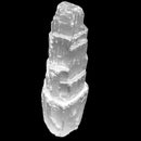 Selenite - Tower - Lamp - Drilled