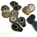 Septarian Nodule - Polished Face - Pair