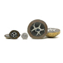 Septarian Nodule - Polished Face - Pair