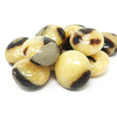 Septarian 石 - 迷你棕榈