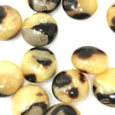 Septarian 石 - 迷你棕榈