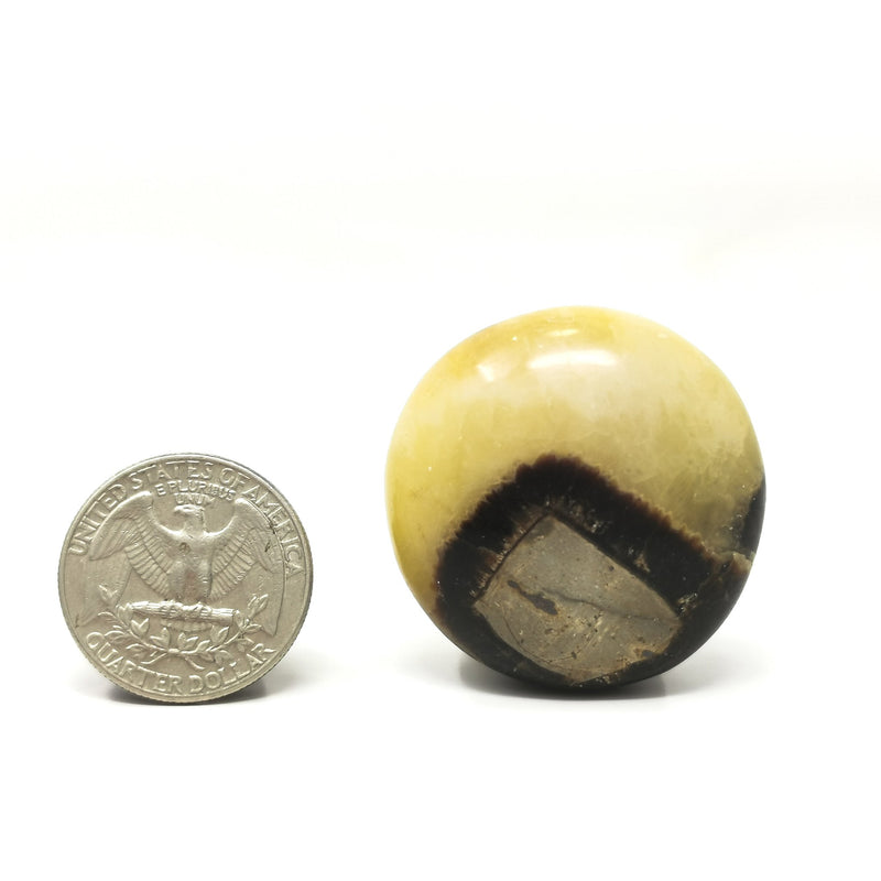Septarian Stone - Mini Palm
