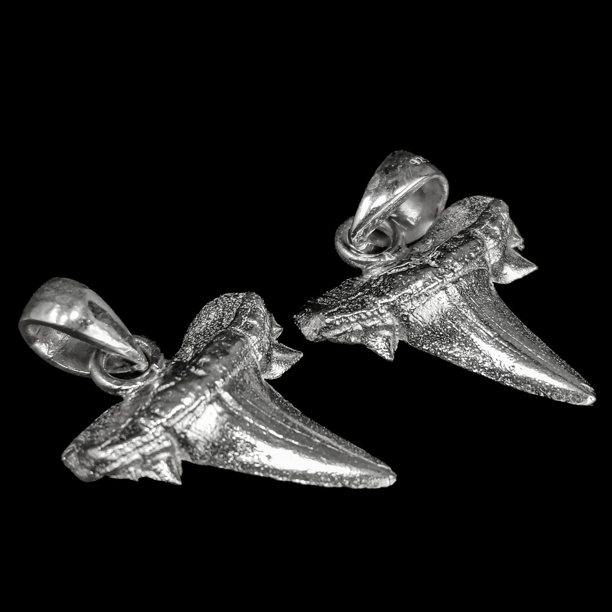 Otodus Shark Tooth pendant in sterling silver.