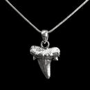 Otodus 鲨鱼牙 - 吊坠