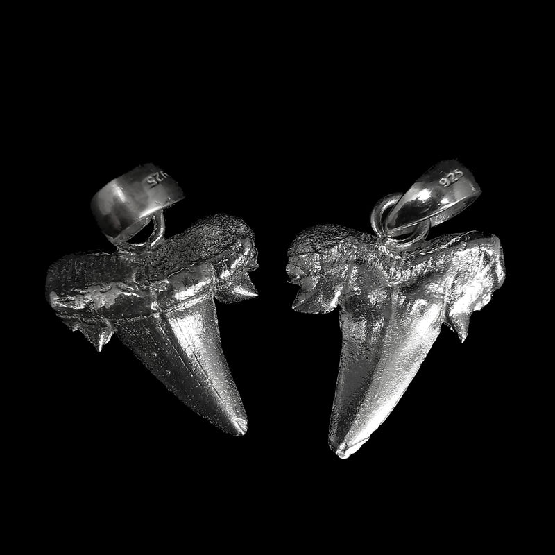 Otodus Shark Tooth - Pendant