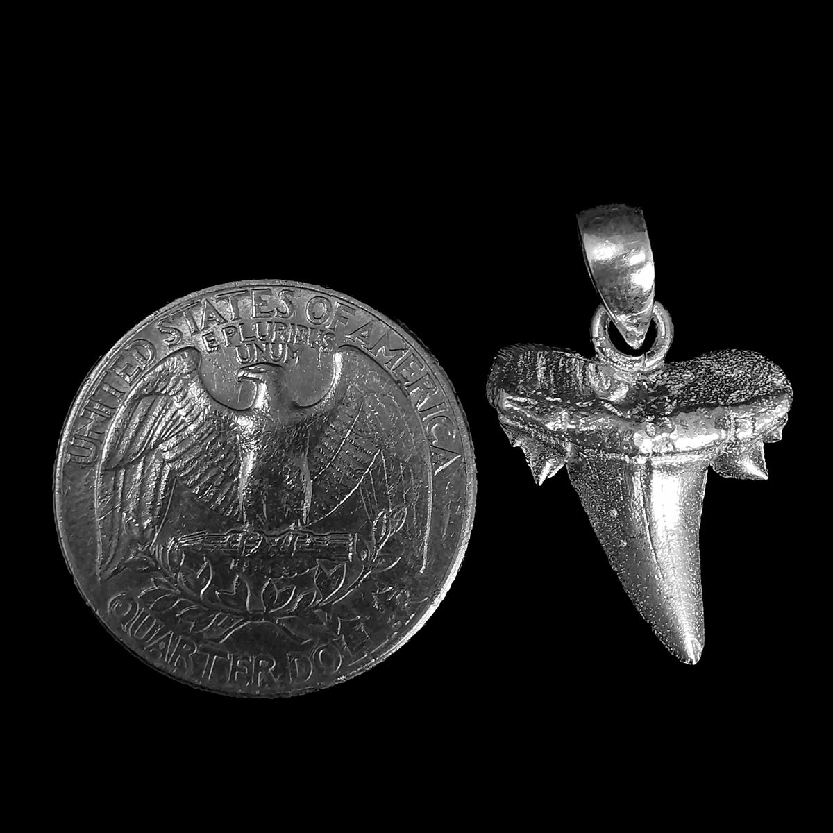 Otodus Shark Tooth pendant in sterling silver.