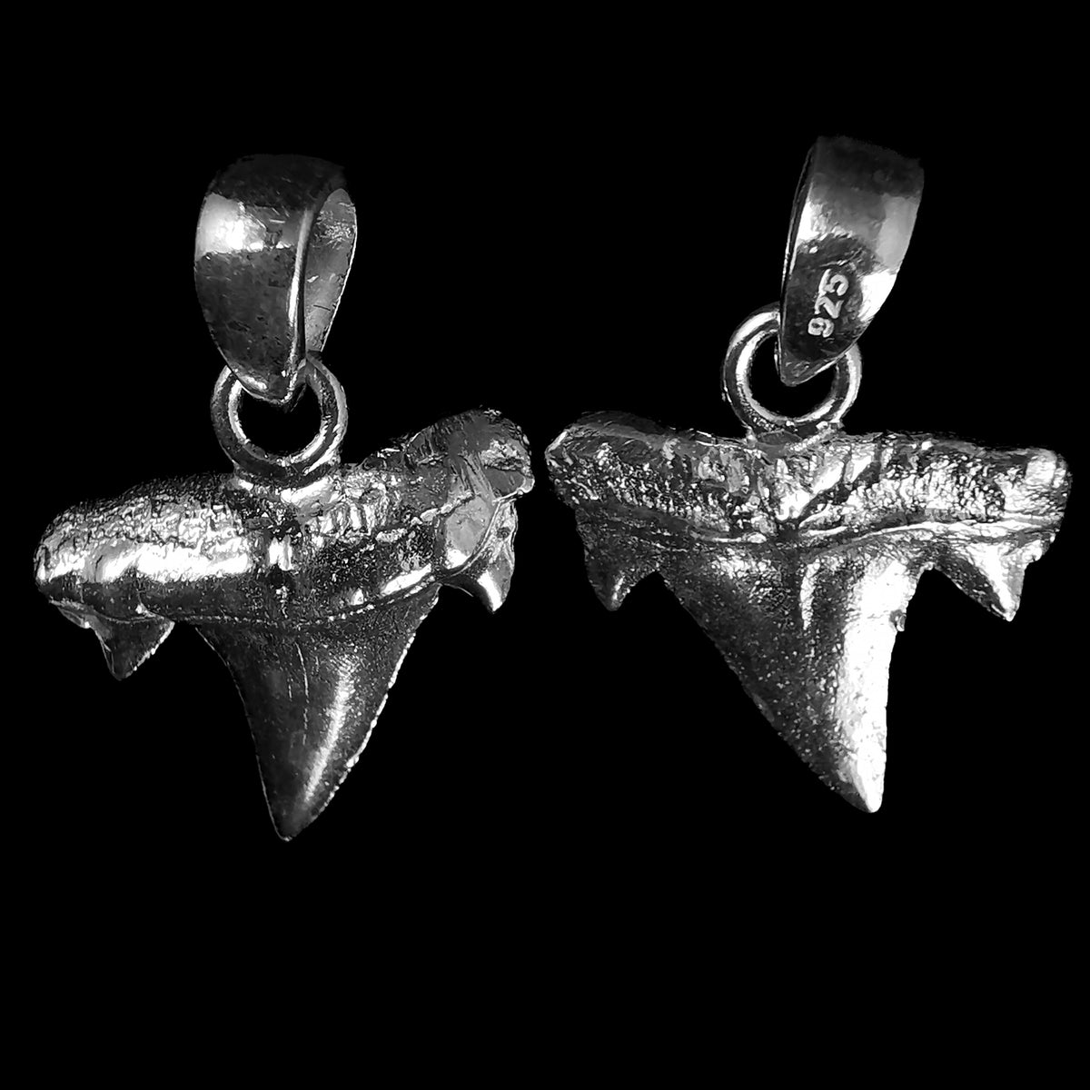 Otodus Shark Tooth pendant in sterling silver.