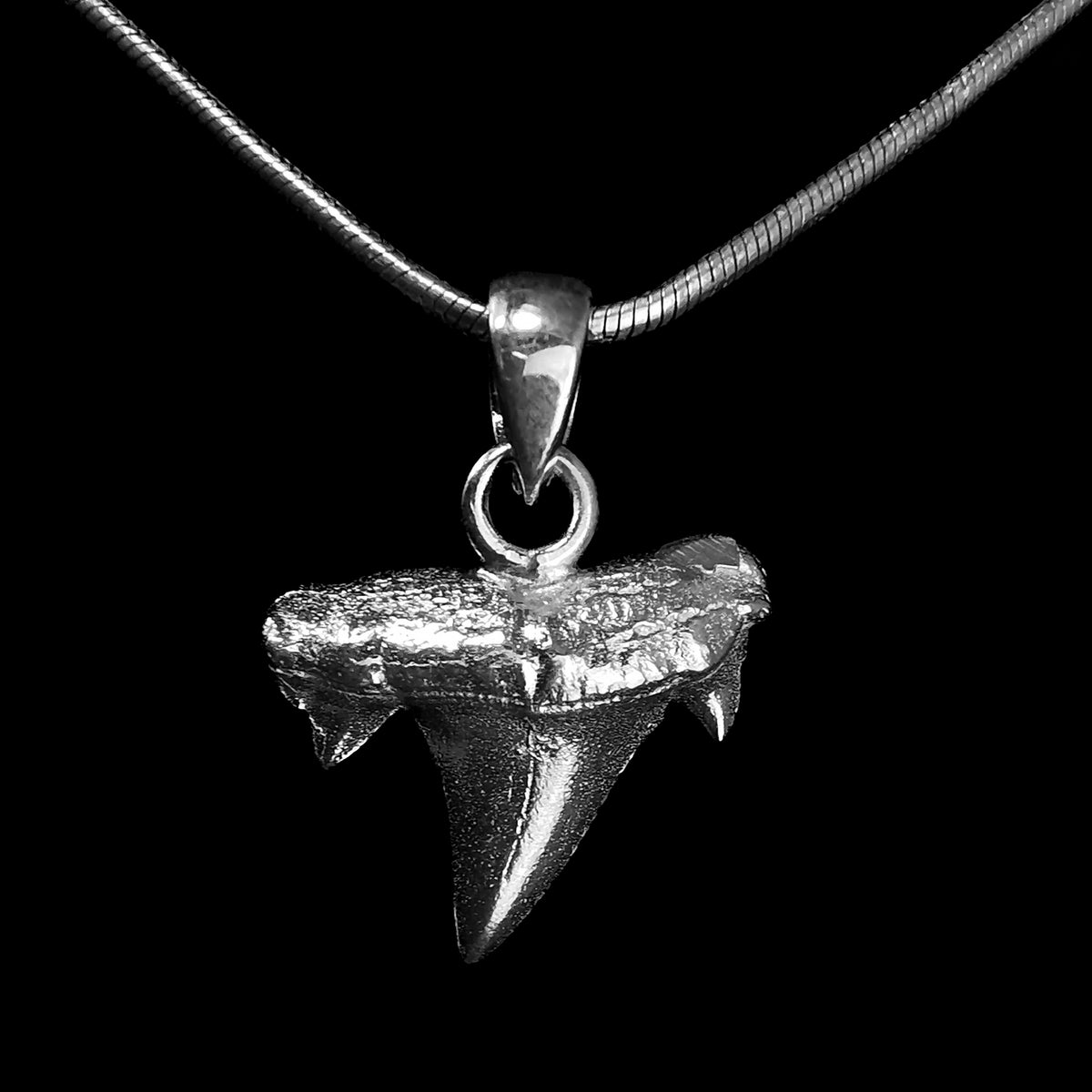 Otodus Shark Tooth pendant in sterling silver.