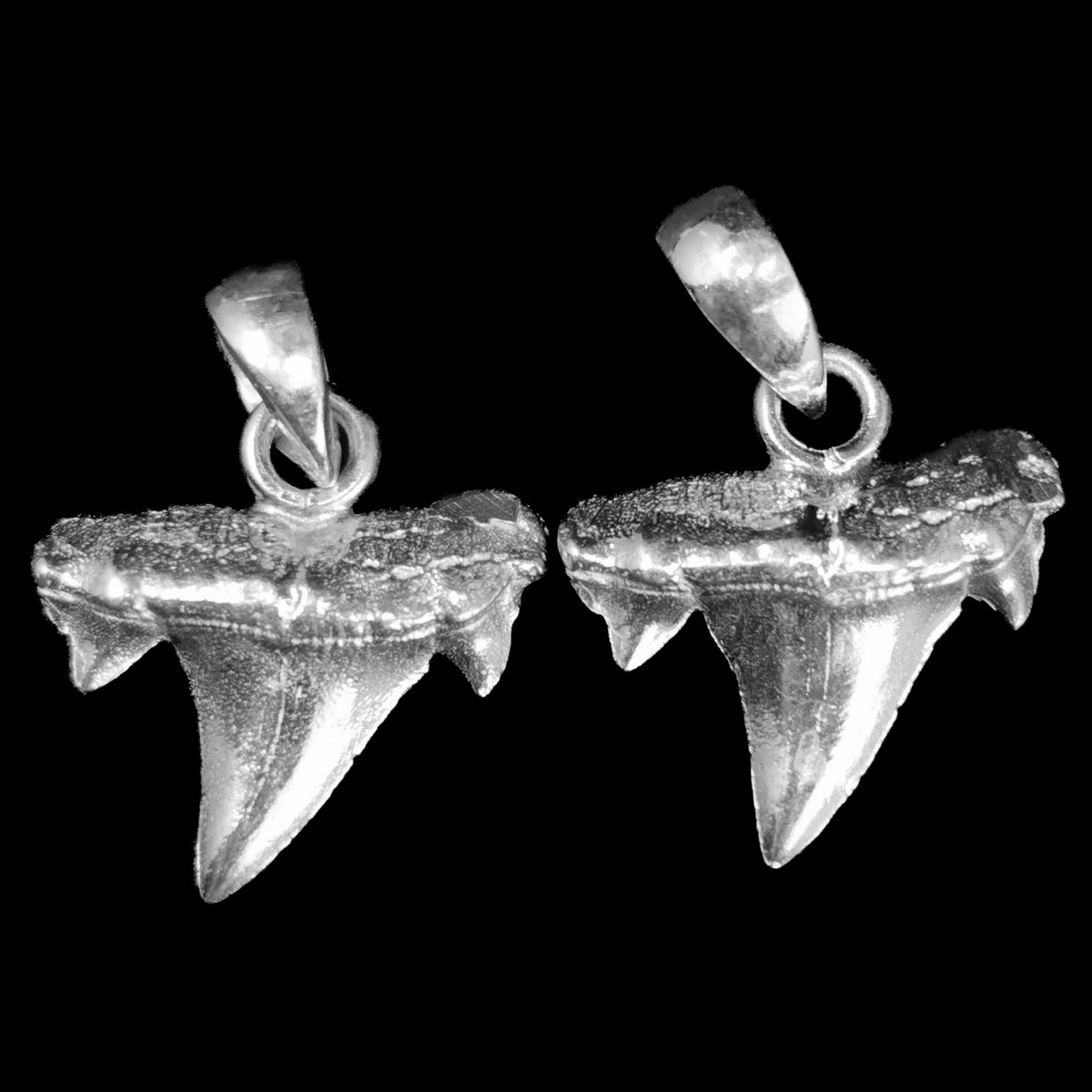 Otodus Shark Tooth pendant in sterling silver.