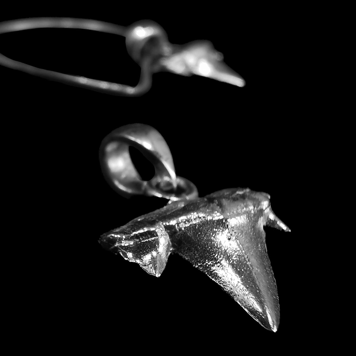 Otodus Shark Tooth pendant in sterling silver.
