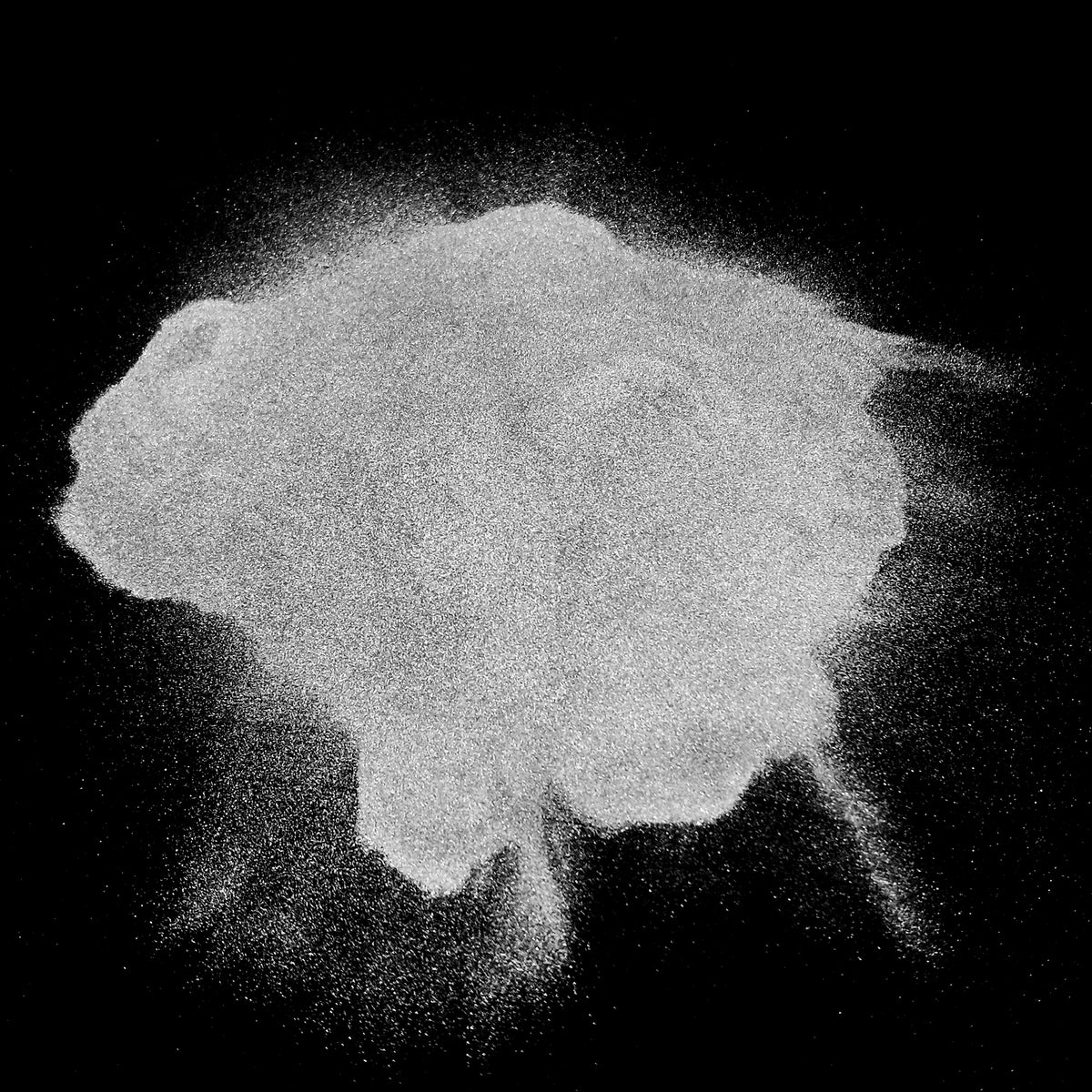 220 Silicon Carbide tumbler grit.
