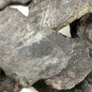 Silver Ore - Rough