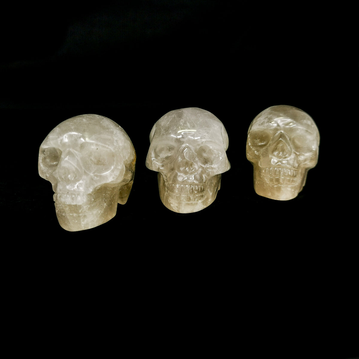 Smoky quartz skull: row of polished skulls
