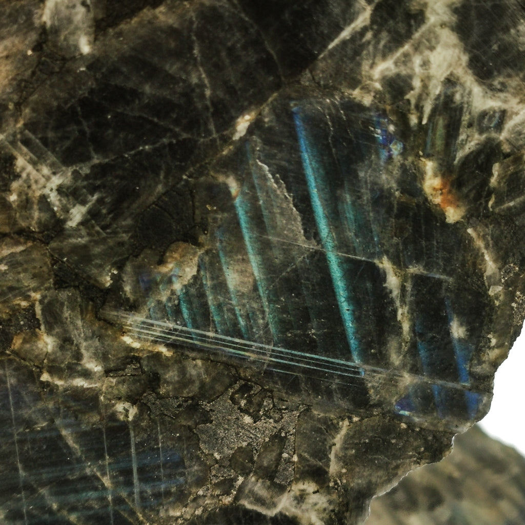 Spectrolite Riso Spectrolite - Rough