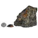 Spectrolite - 粗糙