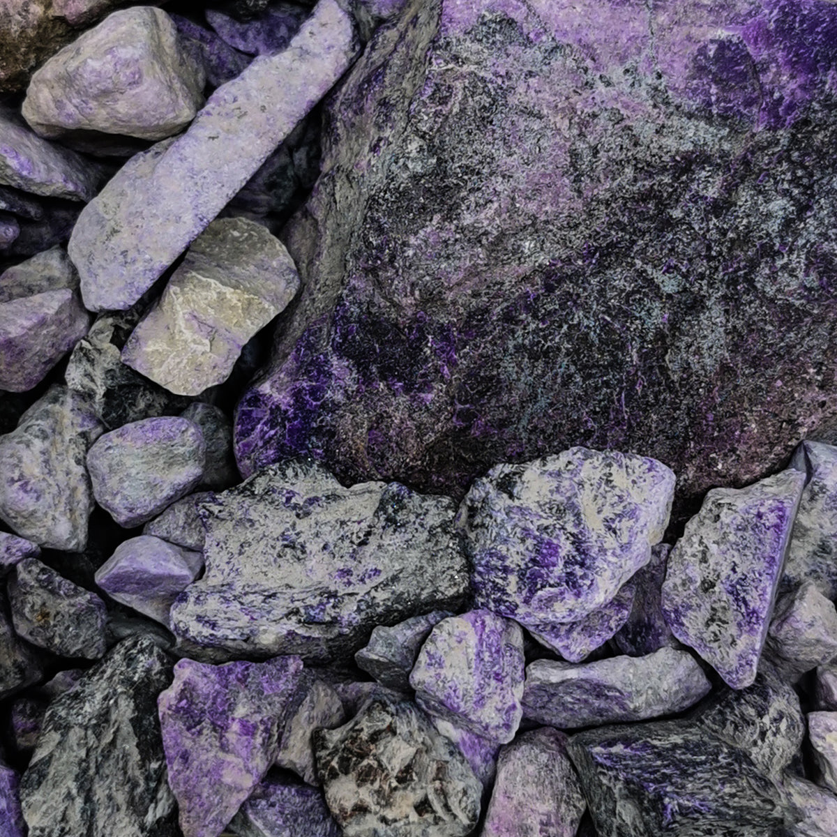 Sugilite - Rough - B Grade