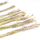 甜草 - 斯特兰德