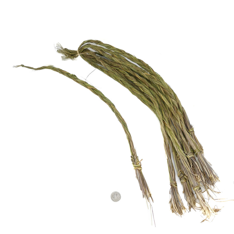 Sweetgrass - Strand