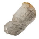 Tourmilated Quartz - Rough