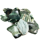 Tree Agate - Polished Face
