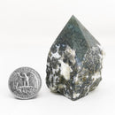 Tree Agate - Power Point