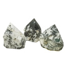 Tree Agate - Power Point