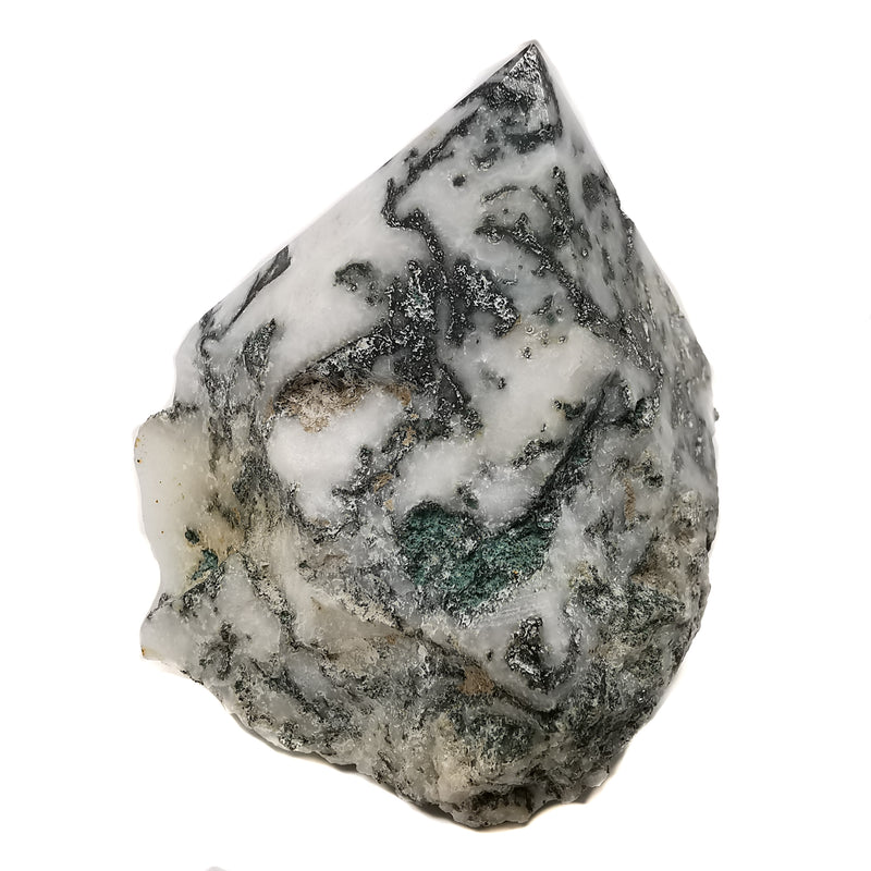 Tree Agate - Power Point