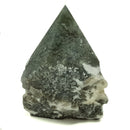 Tree Agate - Power Point