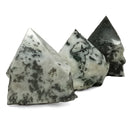 Tree Agate - Power Point