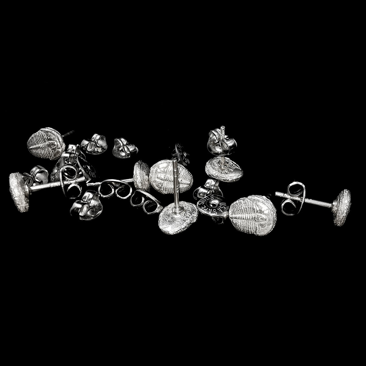 Trilobite stud earrings: row of earrings