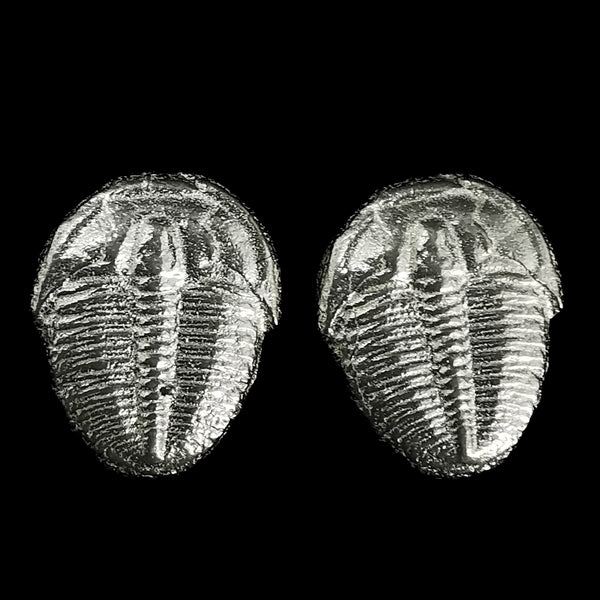 Trilobite - Earring