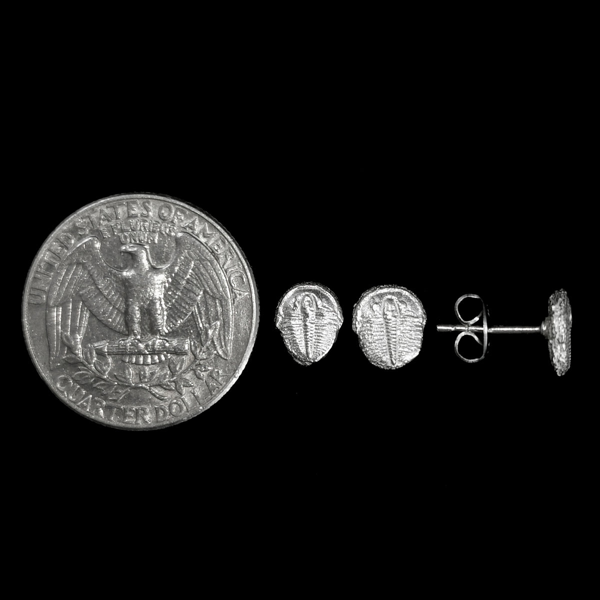 Trilobite stud earrings: earrings beside a coin for scale