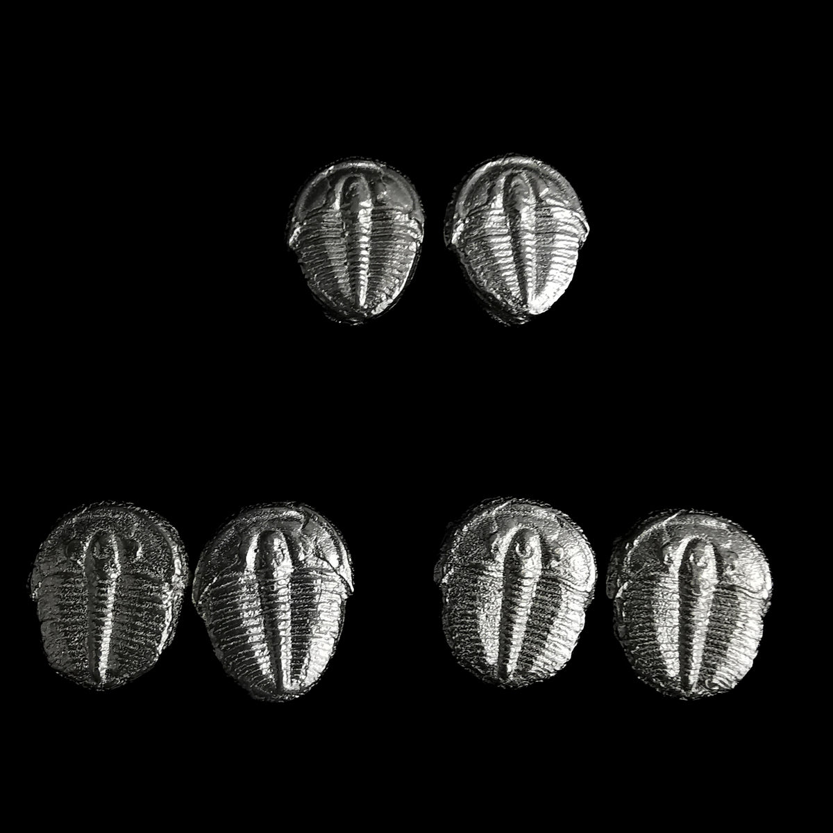 Trilobite stud earrings: three styles in pairs