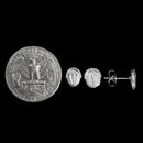 Trilobite - Earring