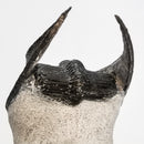 竖琴三叶虫 - 化石标本