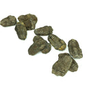 Calymene Trilobite - Fossil