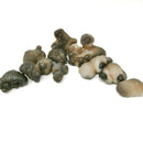 Truffle Chalcedony - Raw