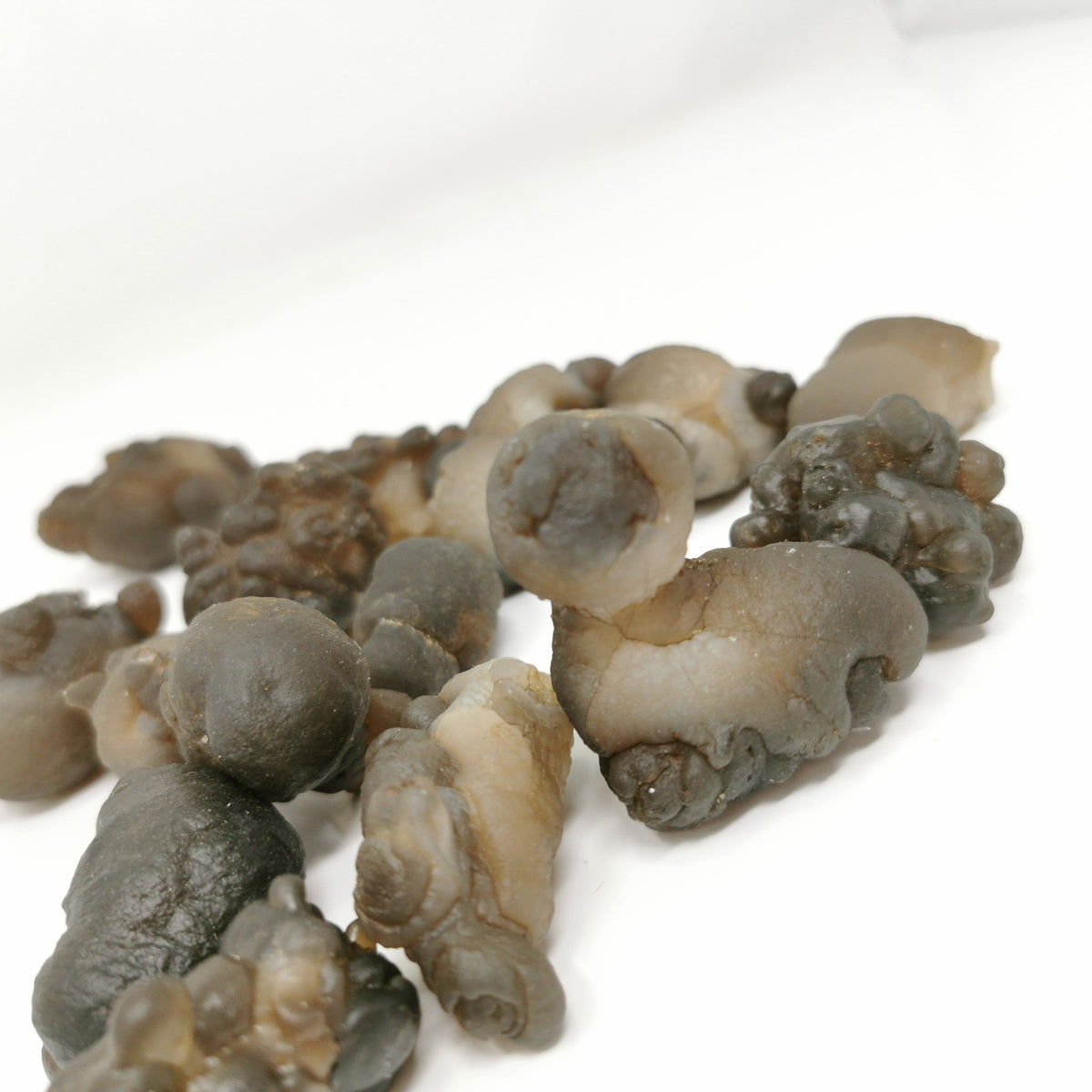 Truffle chalcedony from the Sahara, Morocco – pile of nodules